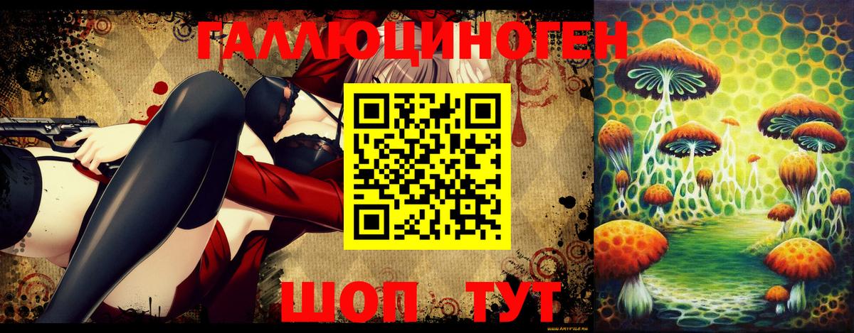 Псилоцибиновые грибы прущие грибы Дзержинский