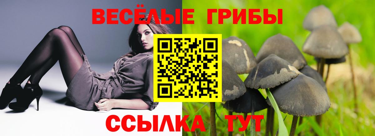 Псилоцибиновые грибы мицелий  Вход с VPN  Дзержинский 
